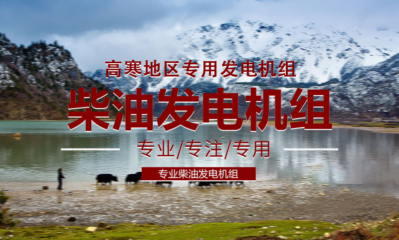 高寒地區(qū)專用柴油發(fā)電機(jī)組 高寒地區(qū)專用柴油發(fā)電機(jī)組