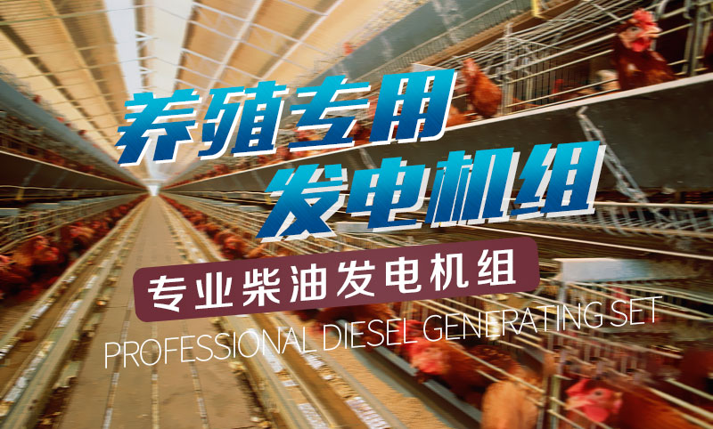 養(yǎng)殖專用柴油發(fā)電機(jī)組 養(yǎng)殖專用柴油發(fā)電機(jī)組